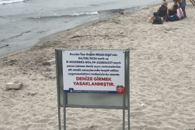 avcılar ambarlı