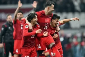 a milli futbol takımı