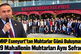 MHP